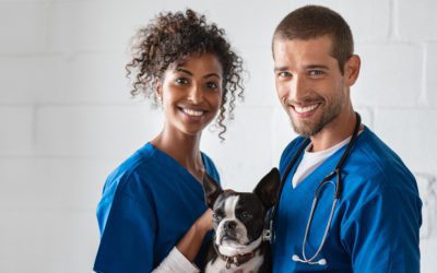 Tips for new graduate veterinarians in choosing their first career position!